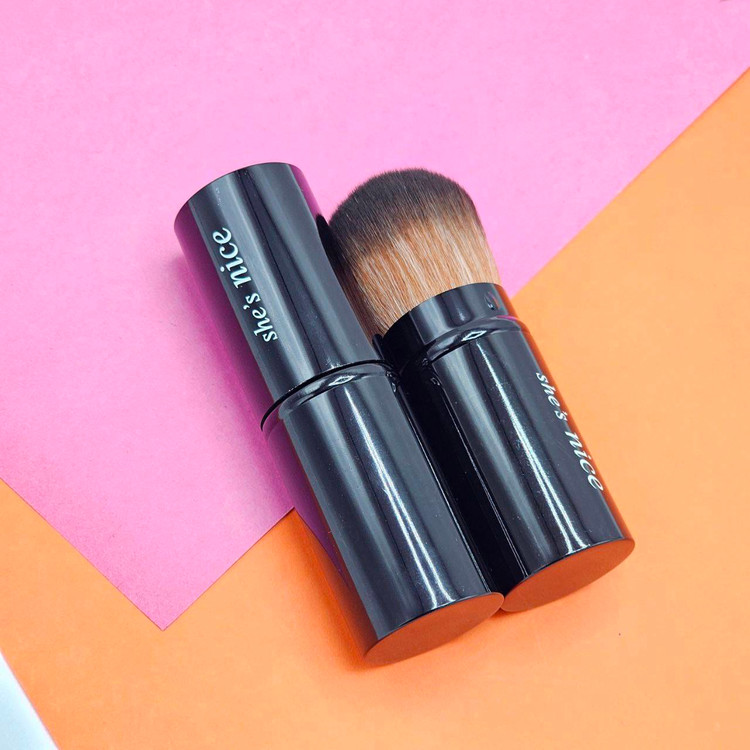 فرچه روژگونه فلزی نایس