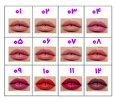 لیپ پلامپر خودکاری رنگهای نود و شاد از برند دراگون