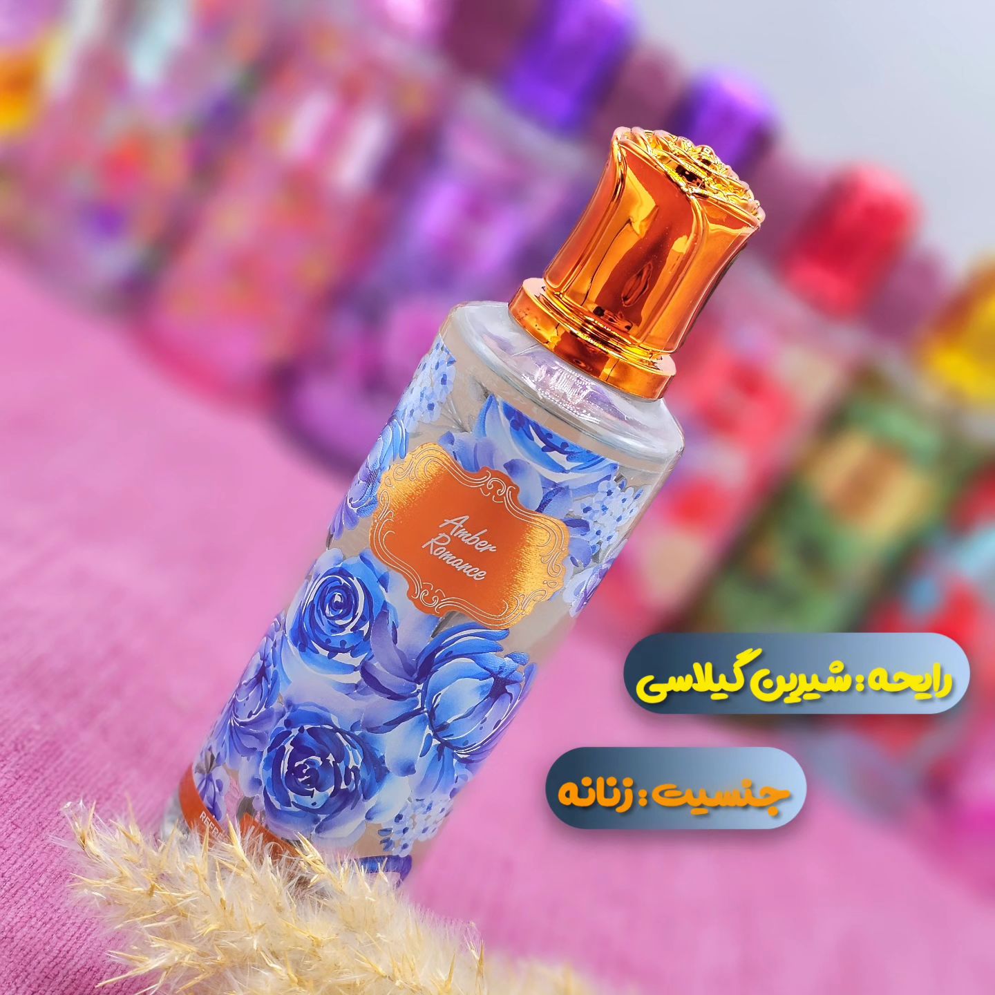 بادی اسپلش خوشبو کننده بدن و لباس با ماندگاری بالا از برند ژاکلین